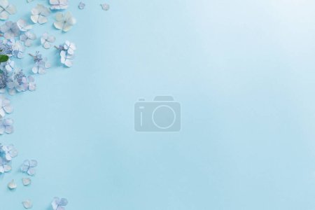 Photo for Blue  hydrangea flowers on blue background - Royalty Free Image