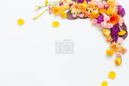 beautiful summer flowers on white   background