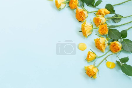 Téléchargez les photos : Roses jaunes sur fond de papier vert - en image libre de droit