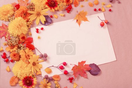 Téléchargez les photos : Fleurs et feuilles d'automne sur fond de papier - en image libre de droit