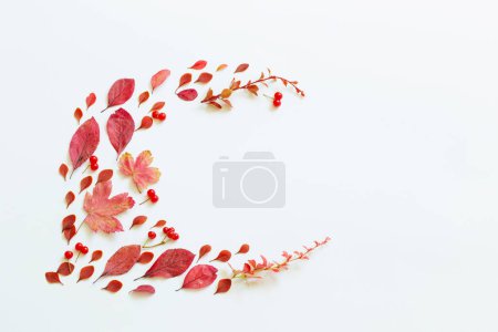 Téléchargez les photos : Feuilles rouges d'automne sur fond blanc - en image libre de droit