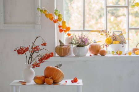 Foto de Decoración natural de otoño con calabazas y bayas de serbal sobre fondo blanco - Imagen libre de derechos