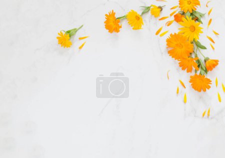 Foto de Flores de caléndula naranja sobre fondo de mármol blanco - Imagen libre de derechos