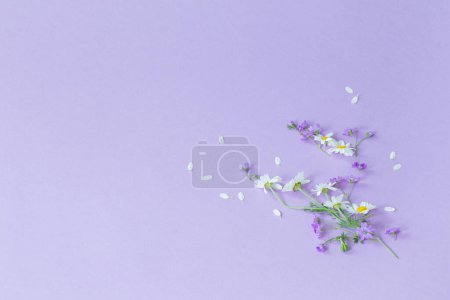 Photo for Wild flowers on purple paper background - Royalty Free Image
