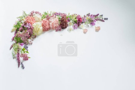 Foto de Hermosas flores de verano sobre fondo blanco - Imagen libre de derechos