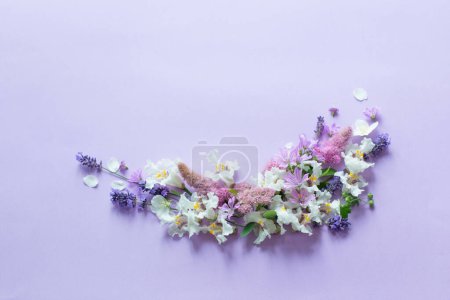 Photo for White and purple flowers on purple paper background - Royalty Free Image
