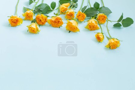 Photo for Yellow roses on green paper background - Royalty Free Image