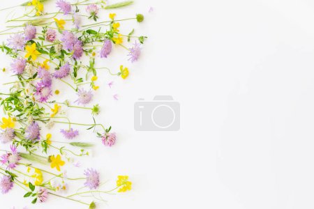 Téléchargez les photos : Fleurs sauvages d'été sur fond de papier blanc - en image libre de droit