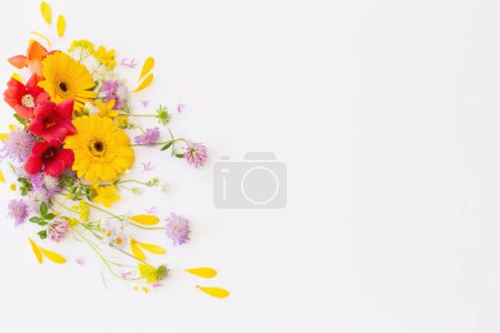 Foto de Flores de verano sobre fondo blanco - Imagen libre de derechos