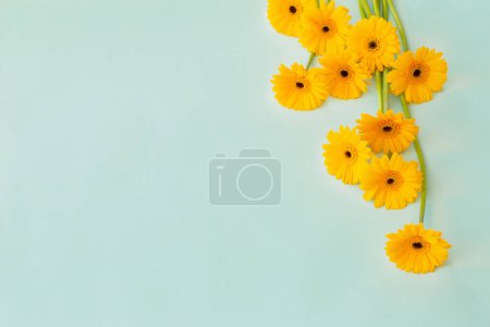 Foto de Flores de gerberas amarillas sobre fondo de papel verde - Imagen libre de derechos