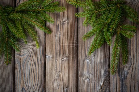 Téléchargez les photos : Branche de sapin sur vieux fond de bois foncé - en image libre de droit
