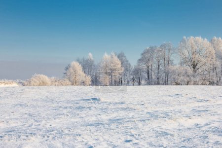 Foto de Hermoso paisaje de invierno soleado con escarcha - Imagen libre de derechos