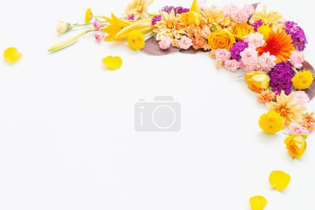 Téléchargez les photos : Belles fleurs d'été sur fond blanc - en image libre de droit