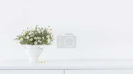 Téléchargez les photos : Fleurs blanches en vase en céramique blanche à l'intérieur blanc - en image libre de droit