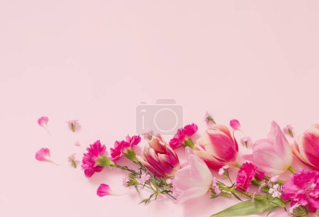 Photo for Beautiful spring flowers on pink background - Royalty Free Image