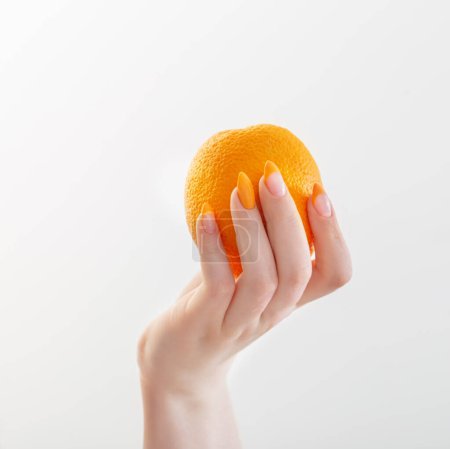 Téléchargez les photos : Mains féminines avec orange sur fond blanc - en image libre de droit