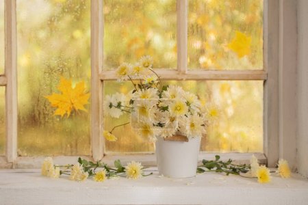 Foto de Crisantemos en jarrón en el alféizar de la ventana en otoño - Imagen libre de derechos
