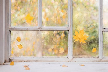 Foto de Ventana de madera vieja blanca con gotas de lluvia y hojas de otoño - Imagen libre de derechos