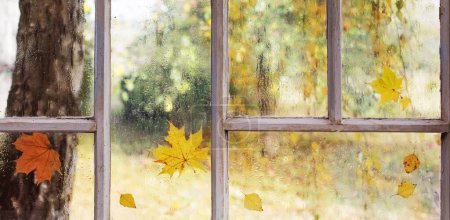 Foto de Ventana de madera vieja blanca con gotas de lluvia y hojas de otoño - Imagen libre de derechos