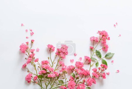 Téléchargez les photos : Roses roses sur fond de papier blanc - en image libre de droit
