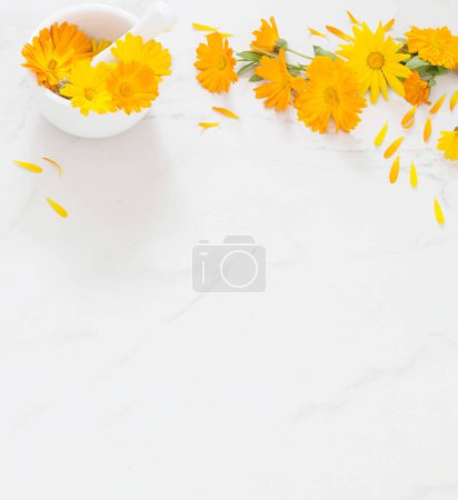 Téléchargez les photos : Fleurs de souci orange sur fond de marbre blanc - en image libre de droit