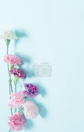 Photo for Carnation flowers on green paper  background - Royalty Free Image