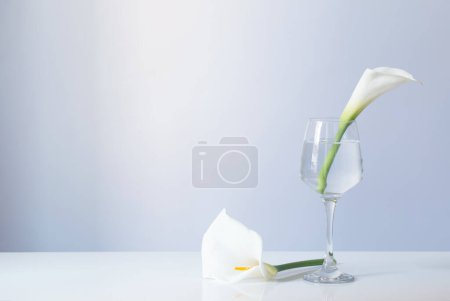 Foto de Flores de calla en vidrio sobre fondo blanco - Imagen libre de derechos