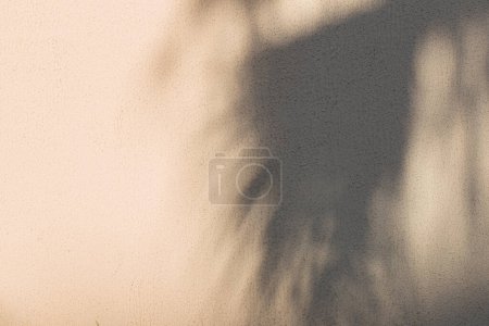 Photo for Background of shadows of palm leaves on the wall in sunlight - Royalty Free Image