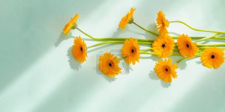 Téléchargez les photos : Fleurs de gerbera jaune sur fond de papier vert - en image libre de droit