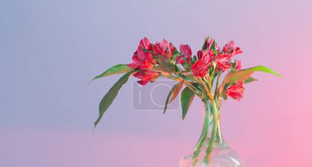 Téléchargez les photos : Bouquet d'alstroemeria rouge en vase en verre vintage sur étagère en bois - en image libre de droit