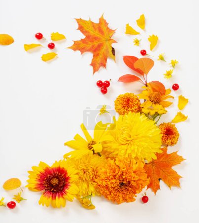 Téléchargez les photos : Fleurs et feuilles d'automne sur fond de papier blanc - en image libre de droit