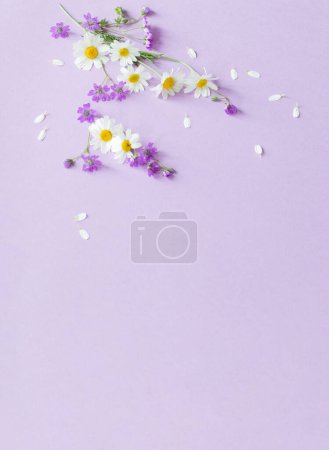 Photo for Wild flowers on purple paper background - Royalty Free Image