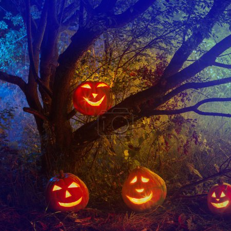 Téléchargez les photos : Citrouilles d'Halloween dans la forêt mystérieuse de nuit - en image libre de droit