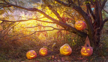 Téléchargez les photos : Citrouilles d'Halloween dans la forêt mystérieuse de nuit - en image libre de droit