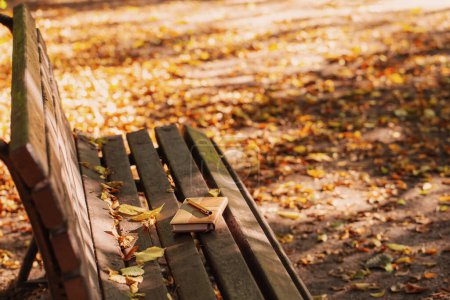 Foto de Cuaderno de cuero y pluma en el banco de madera viejo en el parque de otoño - Imagen libre de derechos