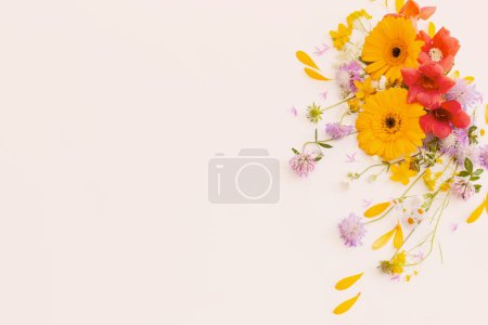 Téléchargez les photos : Fleurs d'été sur fond blanc - en image libre de droit