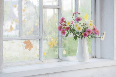 Photo for Chrysanthemums in  vase on  windowsill in autumn - Royalty Free Image