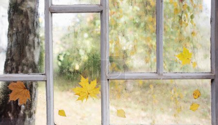 Photo for White old wooden window with rain drops and autumn leaves - Royalty Free Image