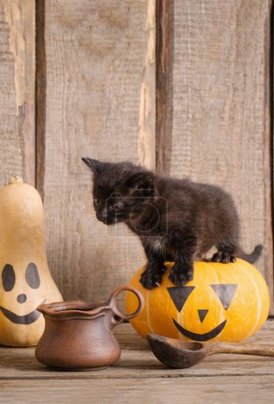 Foto de Pequeño gato negro con calabazas de halloween - Imagen libre de derechos