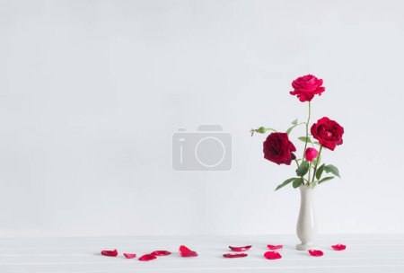 Téléchargez les photos : Roses rouges dans un vase sur fond blanc - en image libre de droit