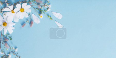 Foto de Flores blancas sobre fondo de papel azul - Imagen libre de derechos