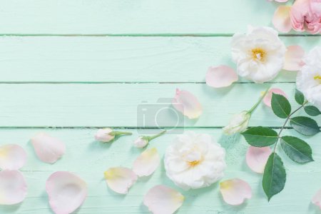 Téléchargez les photos : Roses roses et blanches sur fond de bois vert - en image libre de droit
