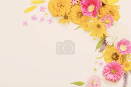 Photo for Yellow and pink flowers on white background - Royalty Free Image