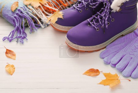 Téléchargez les photos : Chaussures et gants d'hiver violets sur fond de bois blanc - en image libre de droit