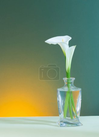 Foto de Hermosas flores blancas en jarrón de cristal sobre fondo verde - Imagen libre de derechos