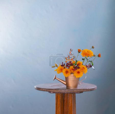 Foto de Flores de crisantemo en regadera sobre fondo azul - Imagen libre de derechos