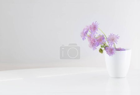Téléchargez les photos : Fleurs sauvages pourpres d'été en vase sur fond blanc - en image libre de droit