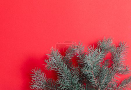 Foto de Ramas de abeto verde sobre fondo rojo navidad - Imagen libre de derechos