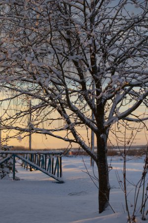 Téléchargez les photos : Paysage rural hivernal enneigé au coucher du soleil - en image libre de droit