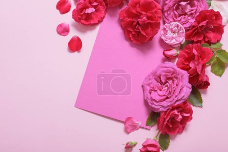 Foto de Hermosas rosas sobre fondo de papel rosa - Imagen libre de derechos